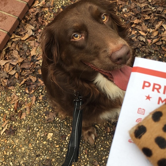 Apologize 4 Delay in Replies❤️In Nursing School - Picture 3 of 5